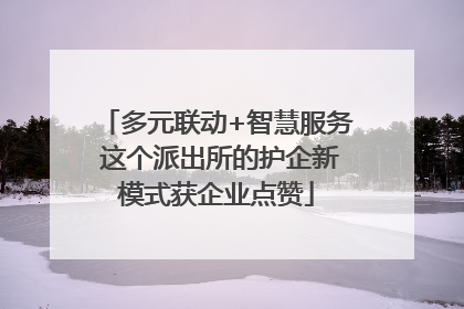 多元联动+智慧服务 这个派出所的护企新模式获企业点赞
