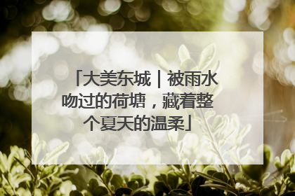 大美东城｜被雨水吻过的荷塘，藏着整个夏天的温柔