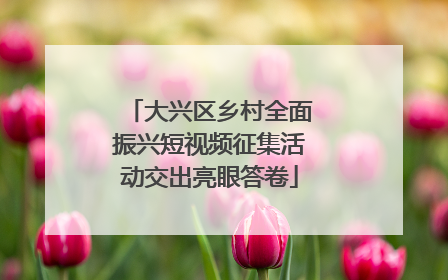 大兴区乡村全面振兴短视频征集活动交出亮眼答卷