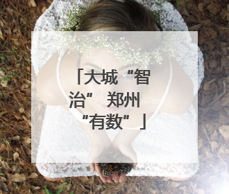 大城“智治” 郑州“有数”