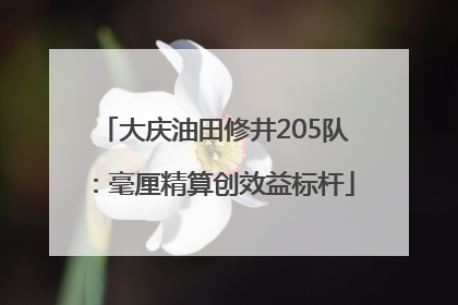大庆油田修井205队：毫厘精算创效益标杆