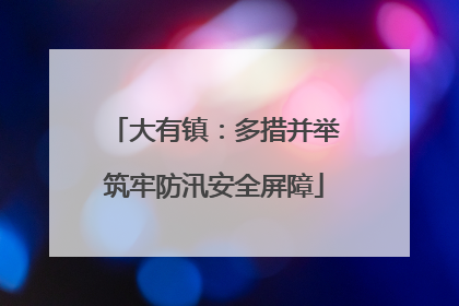 大有镇：多措并举筑牢防汛安全屏障