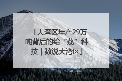 大湾区年产29万吨背后的给“荔”科技｜数说大湾区