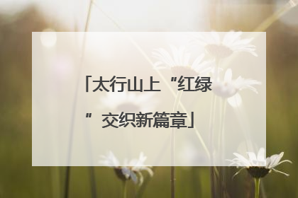 太行山上“红绿”交织新篇章