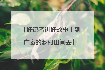好记者讲好故事丨到广袤的乡村田间去