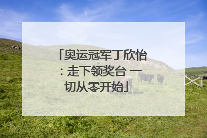 奥运冠军丁欣怡：走下领奖台 一切从零开始