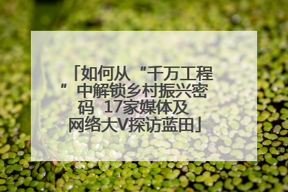如何从“千万工程”中解锁乡村振兴密码  17家媒体及网络大V探访蓝田