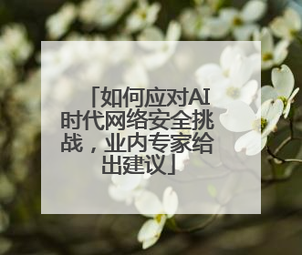 如何应对AI时代网络安全挑战，业内专家给出建议