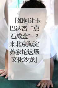如何让玉巴达杏“点石成金”？来北京海淀苏家坨这场文化沙龙