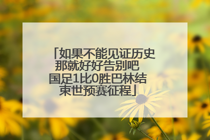 如果不能见证历史 那就好好告别吧 国足1比0胜巴林结束世预赛征程