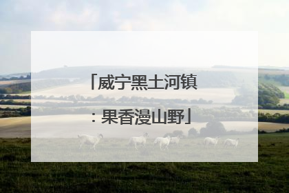 威宁黑土河镇：果香漫山野