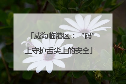威海临港区：“码”上守护舌尖上的安全