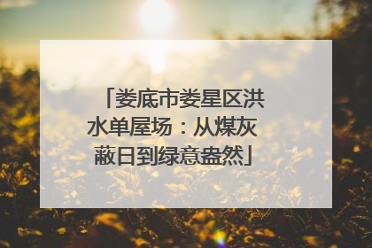 娄底市娄星区洪水单屋场：从煤灰蔽日到绿意盎然