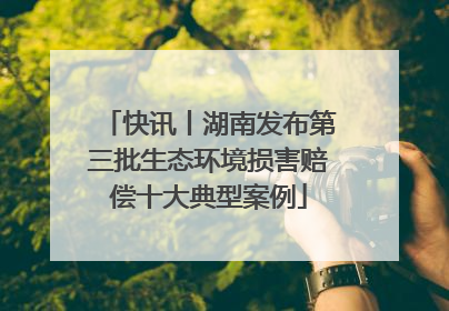 快讯丨湖南发布第三批生态环境损害赔偿十大典型案例