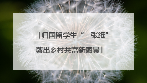 归国留学生“一张纸”剪出乡村共富新图景