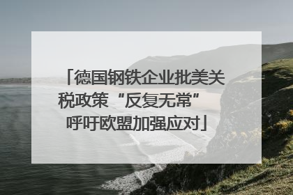 德国钢铁企业批美关税政策“反复无常” 呼吁欧盟加强应对