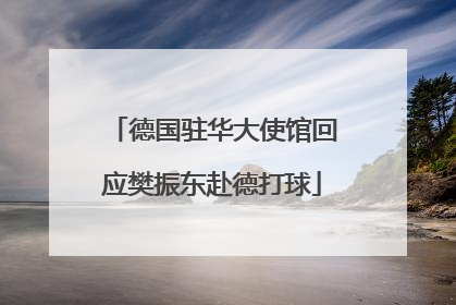 德国驻华大使馆回应樊振东赴德打球