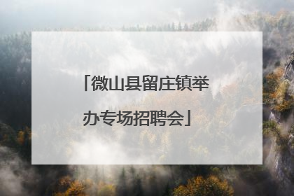 微山县留庄镇举办专场招聘会
