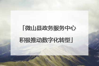微山县政务服务中心积极推动数字化转型