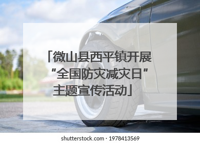 微山县西平镇开展“全国防灾减灾日”主题宣传活动