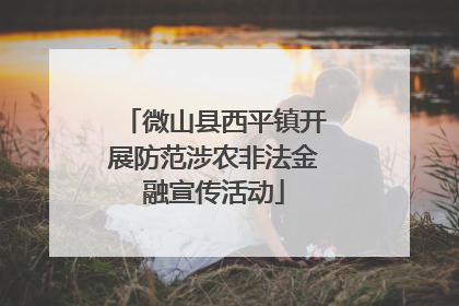 微山县西平镇开展防范涉农非法金融宣传活动