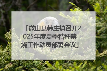 微山县韩庄镇召开2025年度夏季秸秆禁烧工作动员部署会议