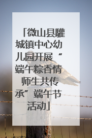 微山县驩城镇中心幼儿园开展“端午粽香情 师生共传承”端午节活动