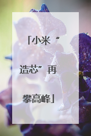 小米“造芯”再攀高峰