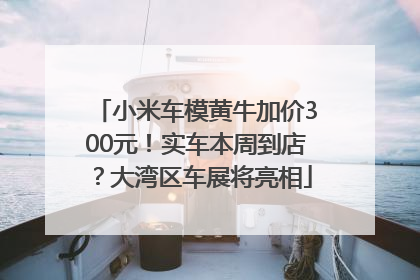 小米车模黄牛加价300元！实车本周到店？大湾区车展将亮相