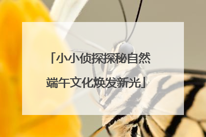 小小侦探探秘自然 端午文化焕发新光