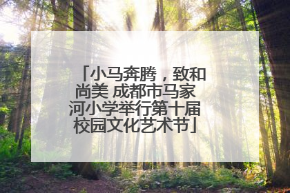 小马奔腾，致和尚美 成都市马家河小学举行第十届校园文化艺术节