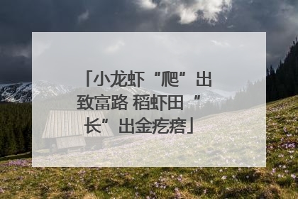 小龙虾“爬”出致富路 稻虾田“长”出金疙瘩