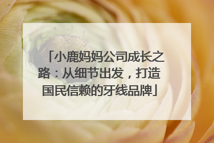 小鹿妈妈公司成长之路：从细节出发，打造国民信赖的牙线品牌