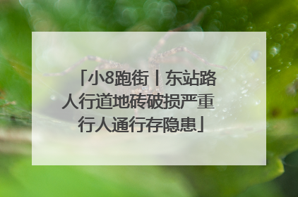小8跑街丨东站路人行道地砖破损严重 行人通行存隐患