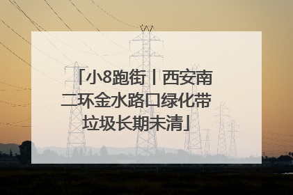 小8跑街丨西安南二环金水路口绿化带垃圾长期未清