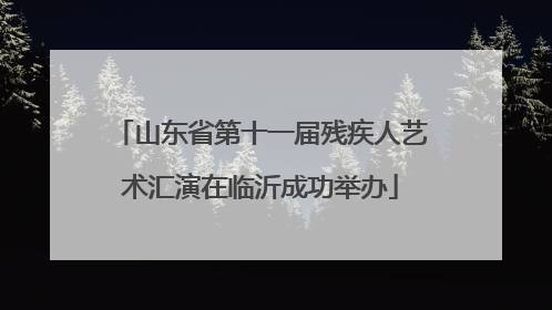 山东省第十一届残疾人艺术汇演在临沂成功举办