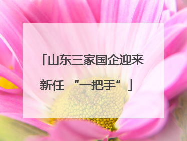 山东三家国企迎来新任 “一把手”