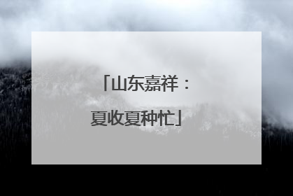 山东嘉祥：夏收夏种忙