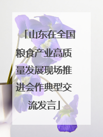 山东在全国粮食产业高质量发展现场推进会作典型交流发言