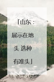 山东：展示在地头 选种有准头