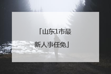 山东1市最新人事任免