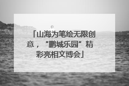 山海为笔绘无限创意，“鹏城乐园”精彩亮相文博会