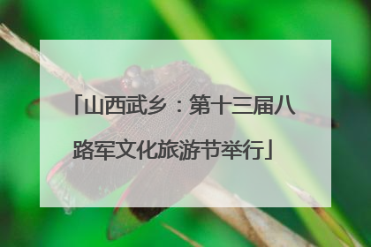 山西武乡：第十三届八路军文化旅游节举行