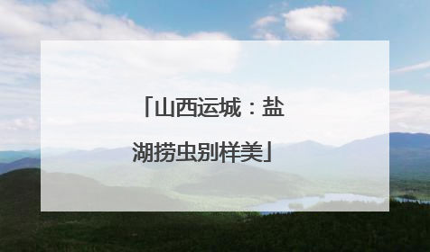 山西运城：盐湖捞虫别样美