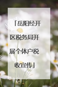 岳阳经开区税务局开展个体户税收宣传