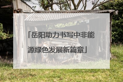 岳阳助力书写中非能源绿色发展新篇章