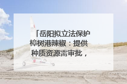 岳阳拟立法保护樟树港辣椒：提供种质资源需审批，违规最高罚5万
