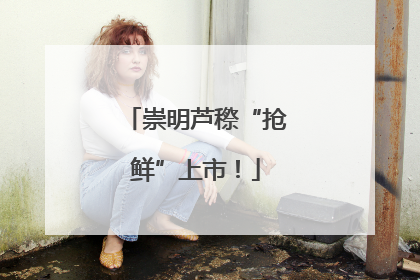 崇明芦穄“抢鲜”上市！