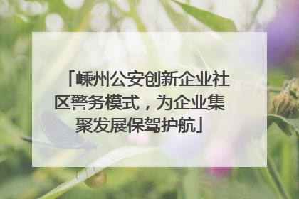 嵊州公安创新企业社区警务模式，为企业集聚发展保驾护航