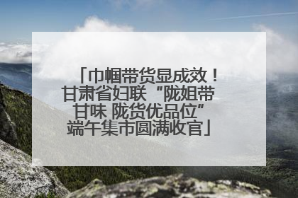 巾帼带货显成效！甘肃省妇联“陇姐带甘味 陇货优品位”端午集市圆满收官